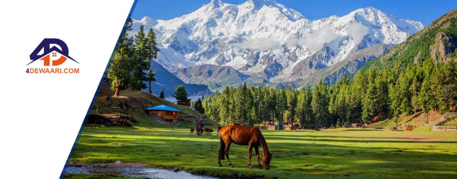 Travel’s Guide to Fairy Meadows Pakistan 2021