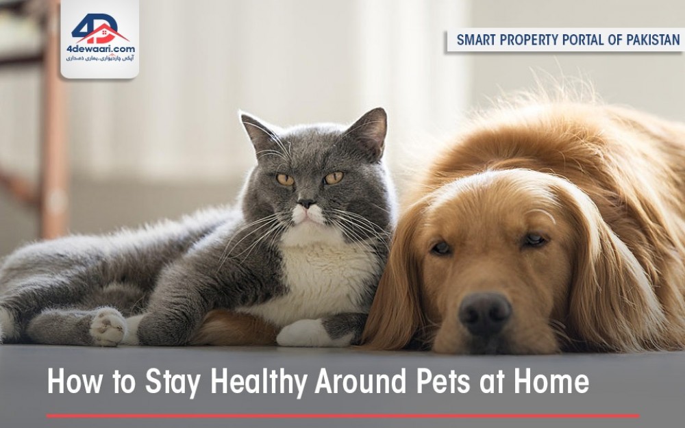 How to Stay Healthy Around Pets at Home