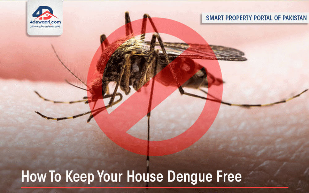 Important Tips To Keep Your House Dengue Free