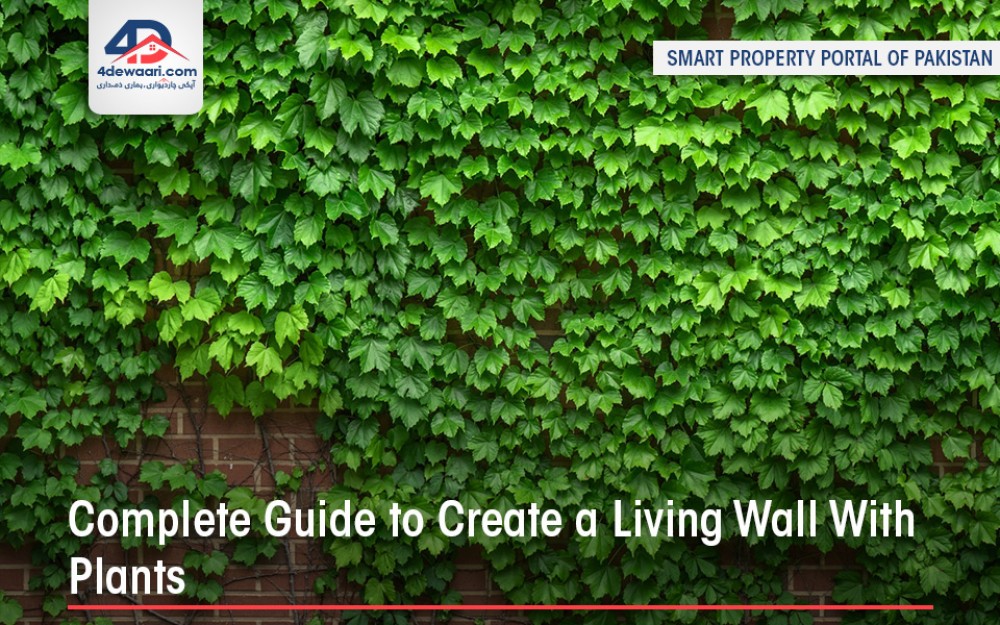 Complete Guide For Creating a Living Wall With Plants