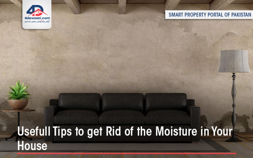 Useful Tips to Get Rid of the Moisture in Your House