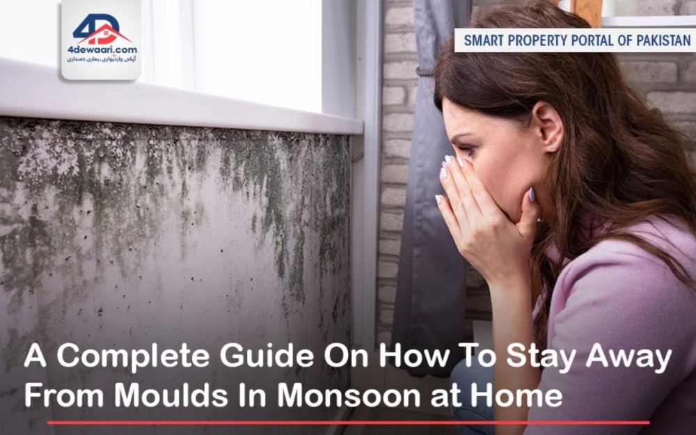 A Complete Guide On How To Stay Away From Moulds In Monsoon at Home