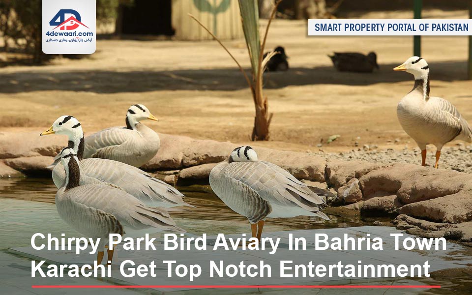 Chirpy Park Bird Aviary In Bahria Town Karachi Get Top Notch Entertainment