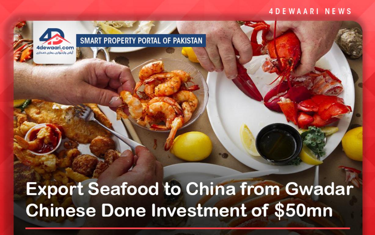 Export Seafood to China from Gwadar Chinese Done Investment of $50mn