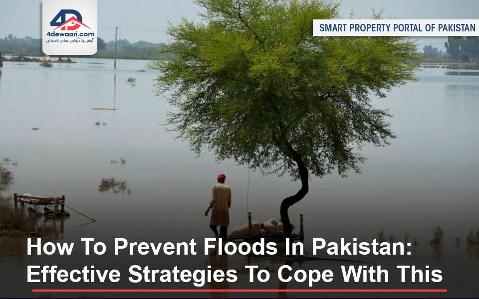 How To Prevent Floods In Pakistan: Effective Strategies To Cope With This Calamity