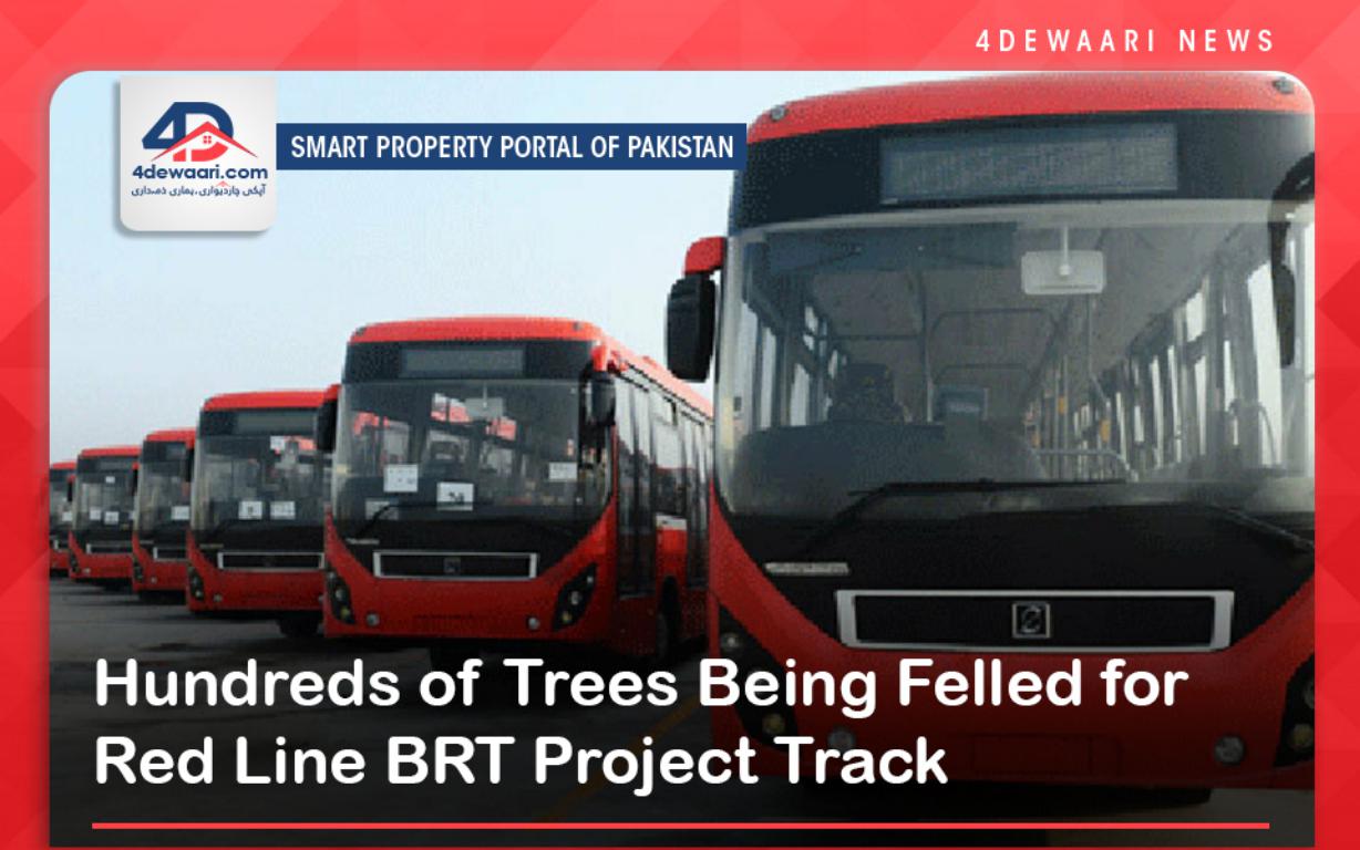 Hundreds of Trees Being Felled for Red Line BRT Project Track