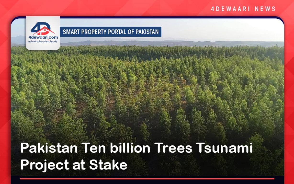 Pakistan Ten billion Trees Tsunami Project at Stake 