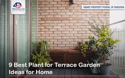 9 Best Plant for Terrace Garden Ideas for Home 2022 