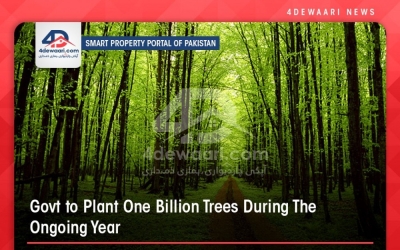 Govt. To Plant One Billion Trees During The Ongoing Year