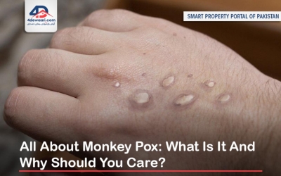 All About Monkey Pox: What Is It And Why Should You Care?