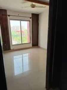 5 Marla Ground Portion Available For Rent In G 11 /1 Islamabad