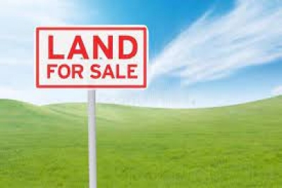 Orchard 8 Marla Boulevard Plot For Sale Bahria Town Phase 8  islamabad