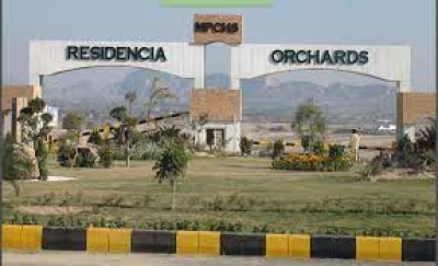 40X60  pair Commercial Plot  Available For Sale on installment  In Multi Orchards, Islamabad