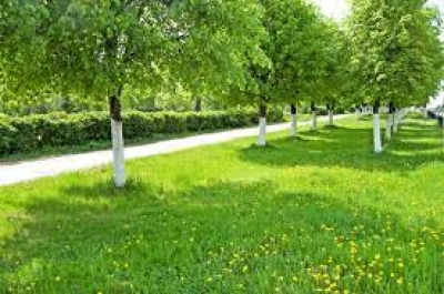 Airport Green Garden Islamabad  plot for sale Block A 5 Marla