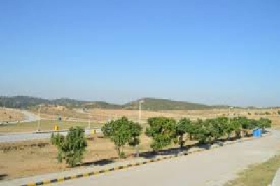 1 Kanal Ideal Location Residential Plot For Sale in G-14/1 Islamabad