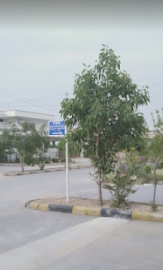 10  Marla  Plot For Sale in Federation Housing  Society, O-9  Islamabad